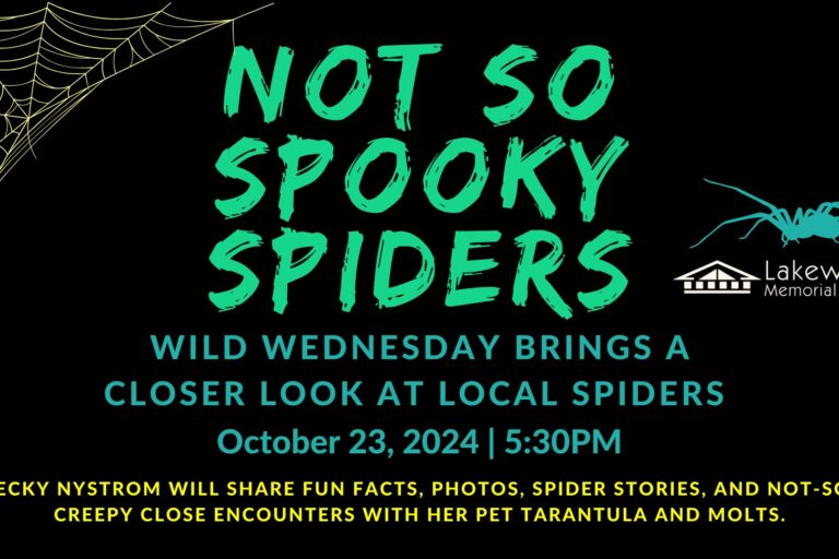 Not So Spooky Spiders