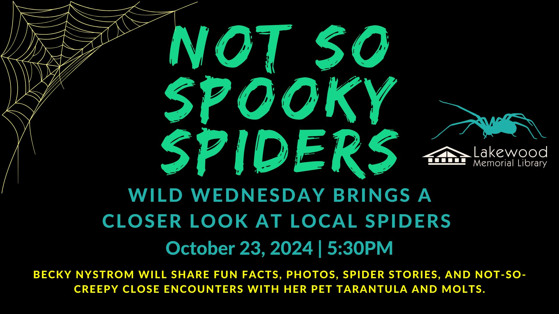 Not So Spooky Spiders