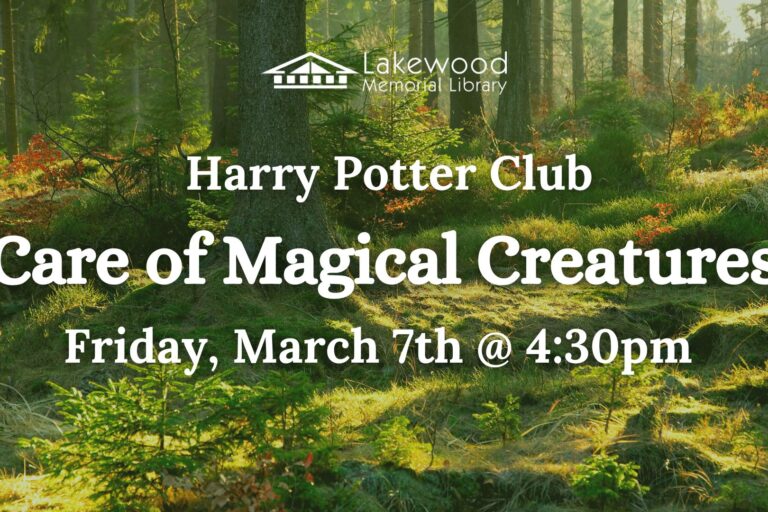 Harry Potter Club