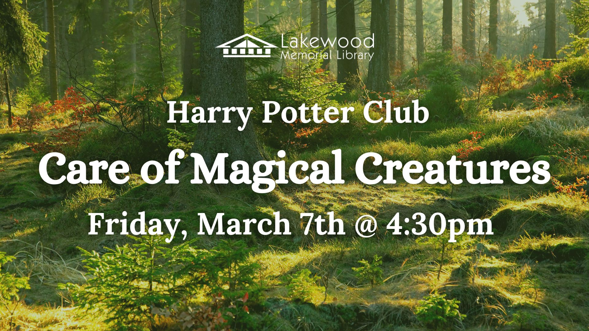 Harry Potter Club