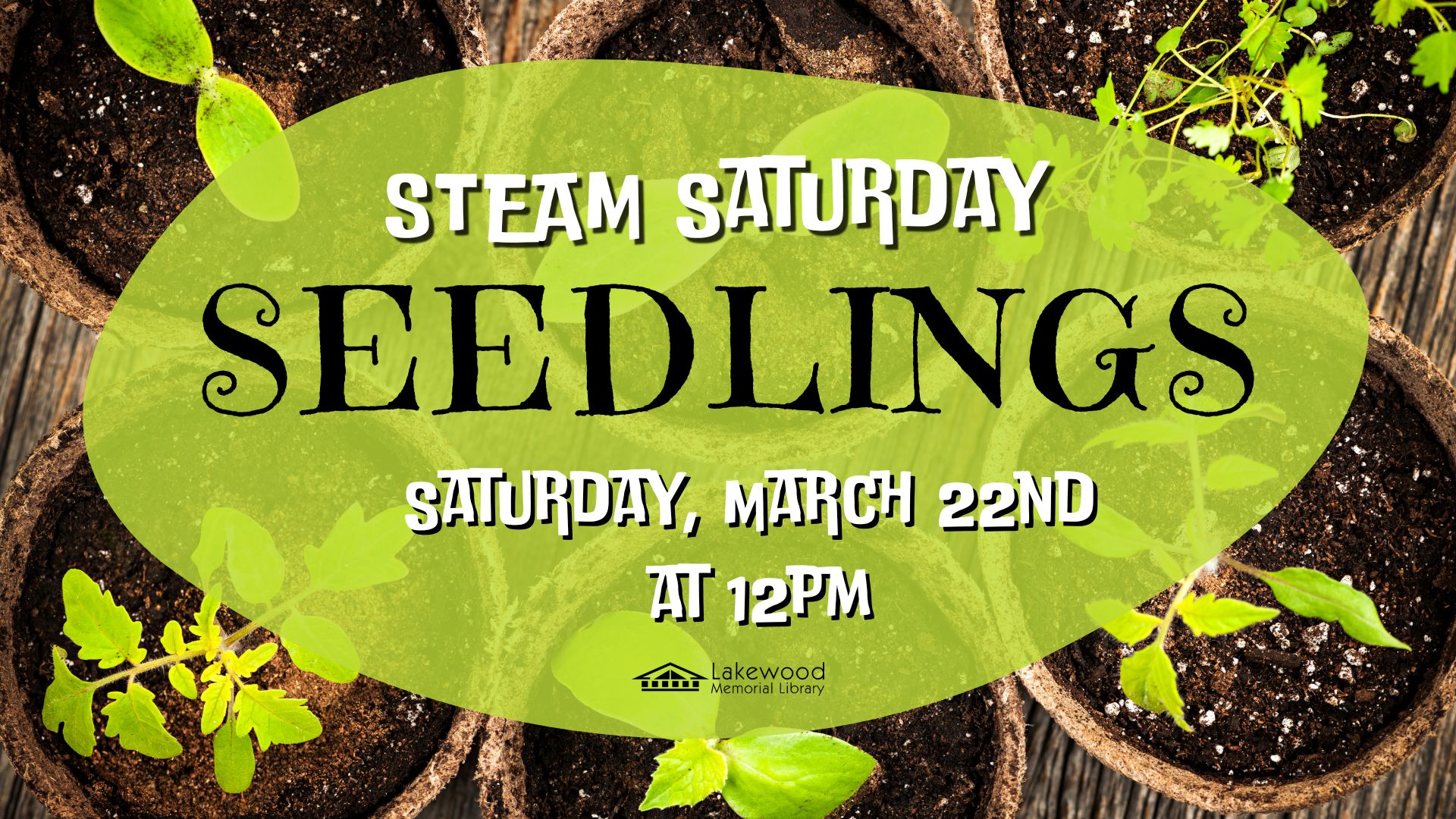 STEAM Saturday