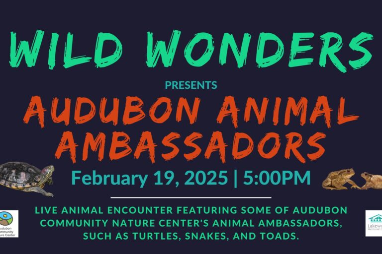 Wild Wonders – Audubon Animal Ambassadors