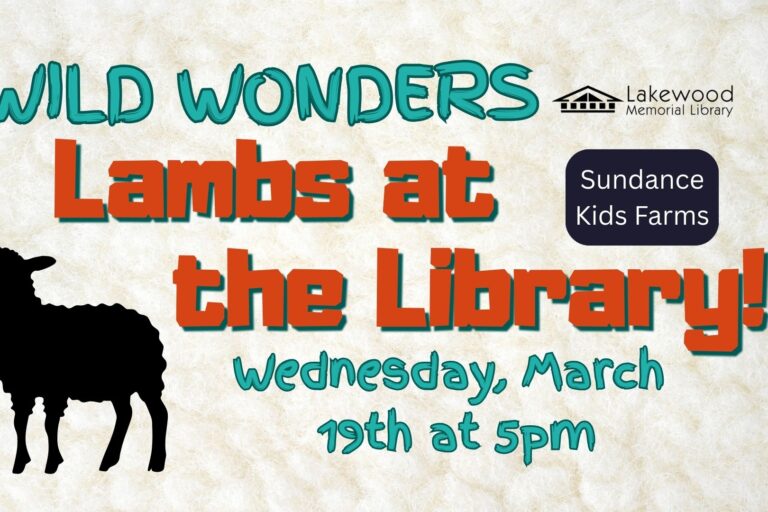 Wild Wonders – Lambs at the Library