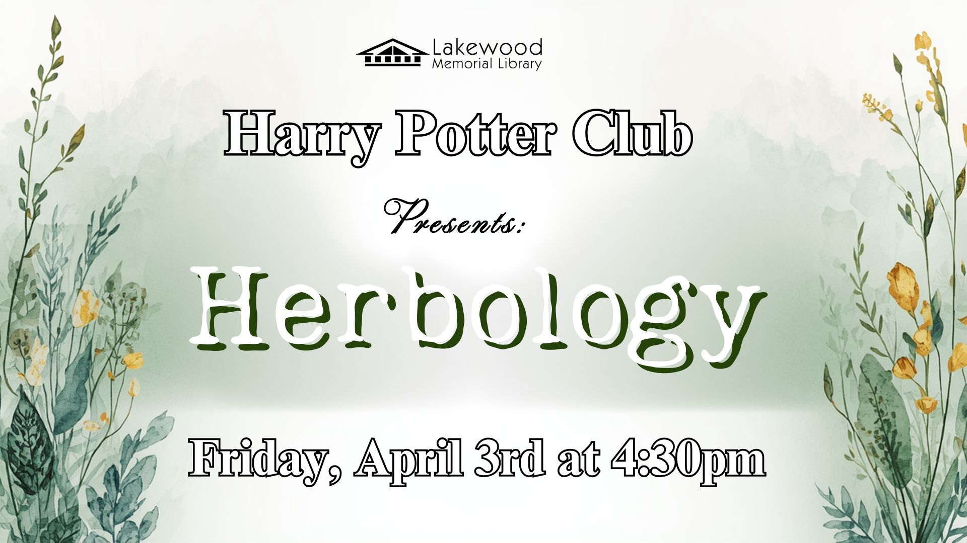 Harry Potter Club