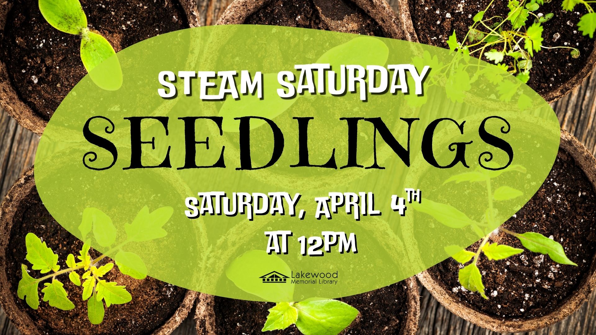 STEAM Saturday