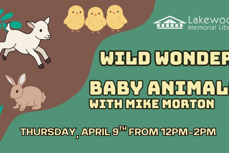 Wild Wonders: Baby Animals