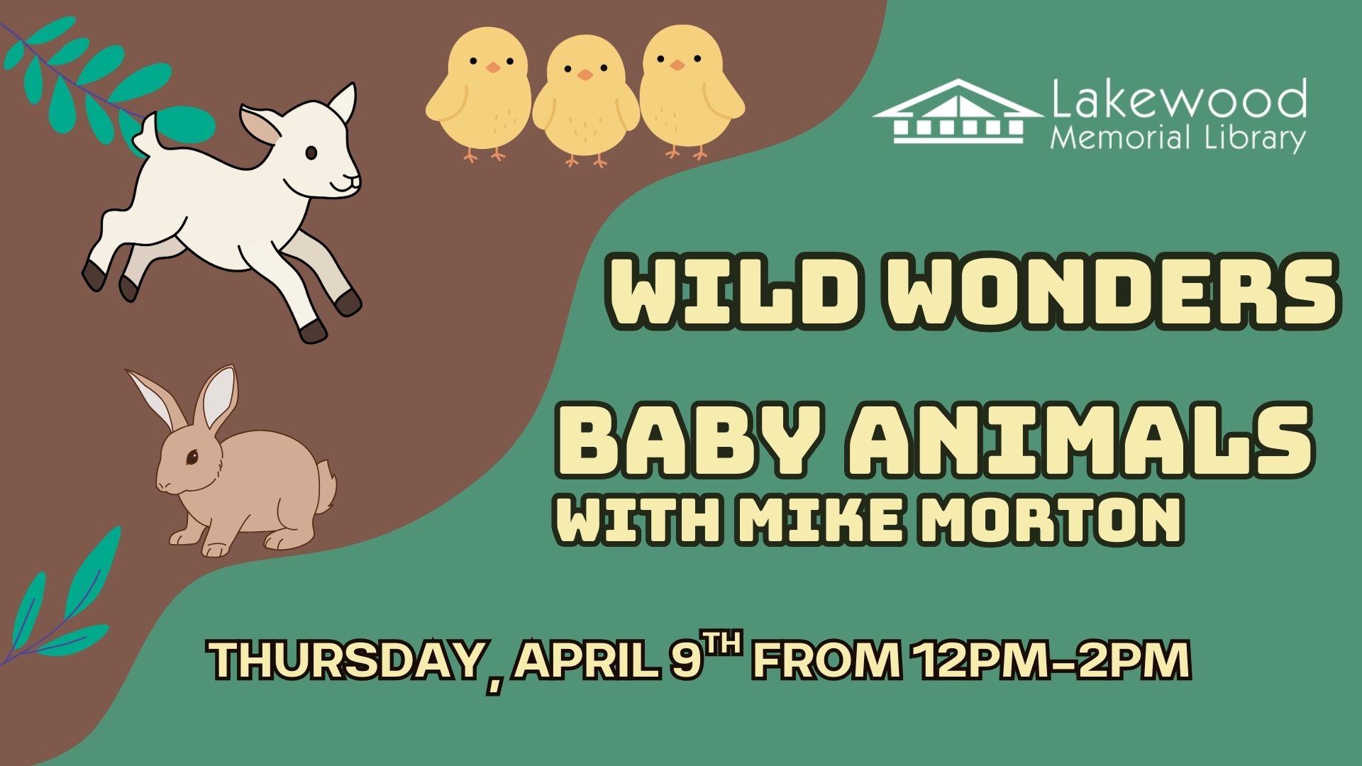 Wild Wonders: Baby Animals