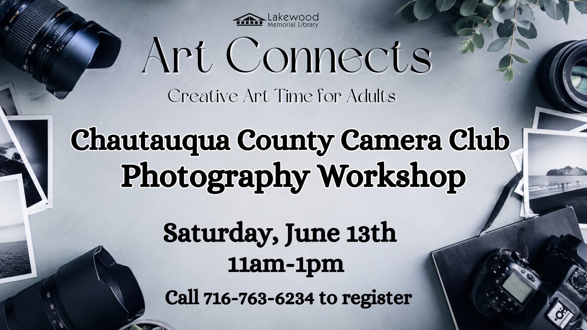 Art Connects with Chautauqua County Camera Club