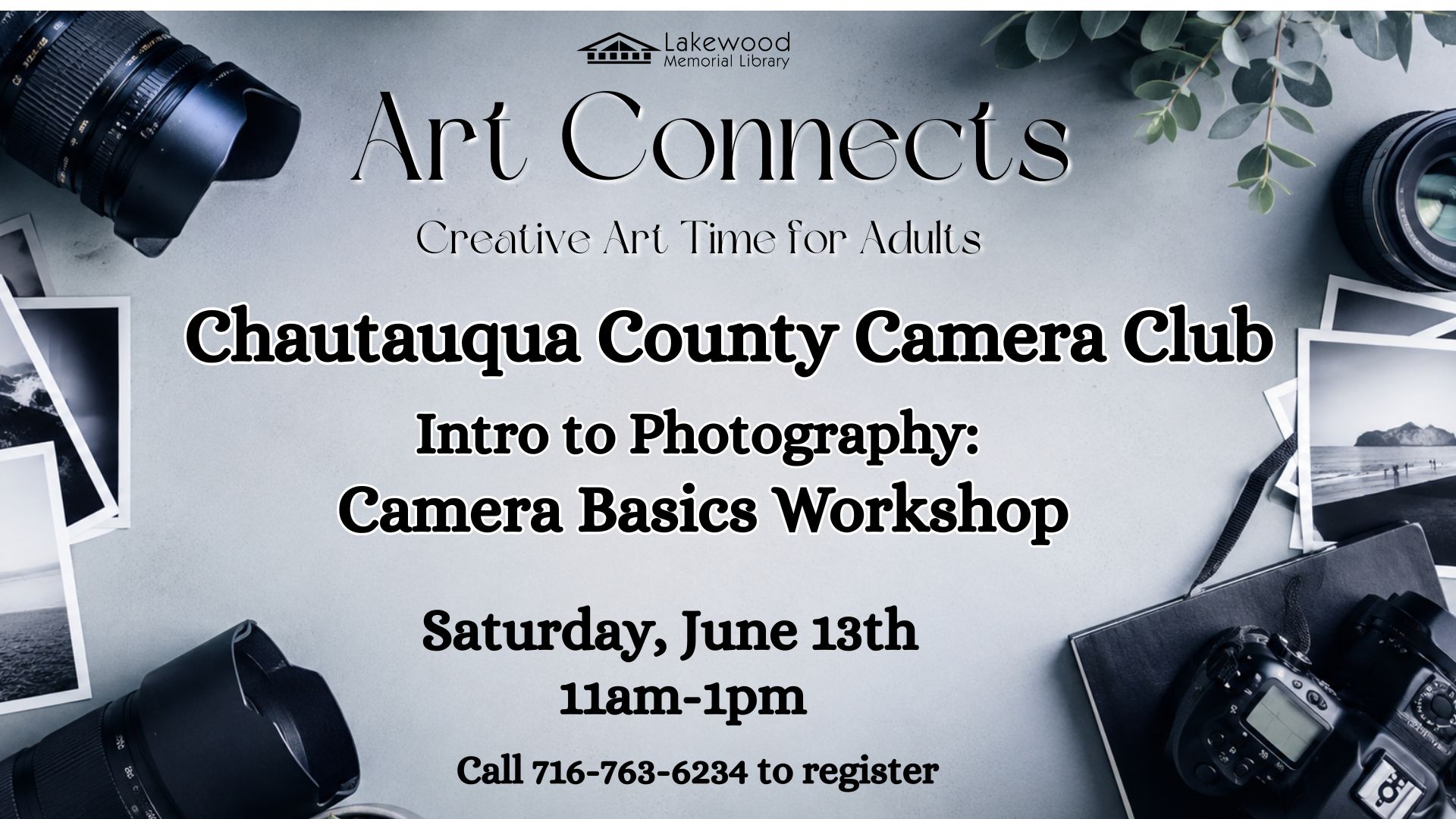 Art Connects with Chautauqua County Camera Club